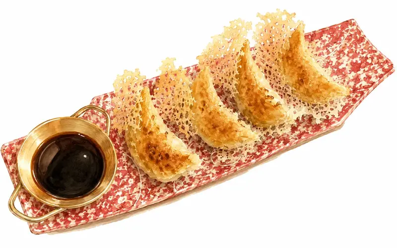 Gyoza di carne